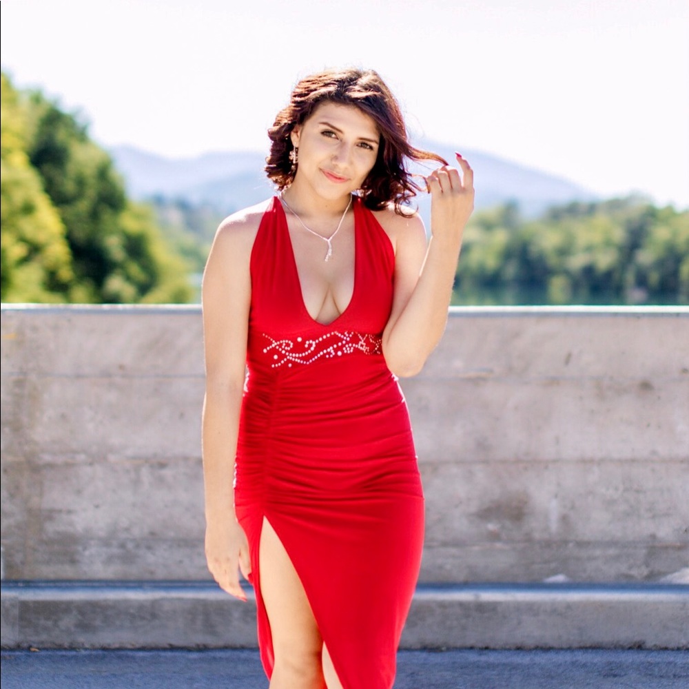 Handsown One of a Kind/Swarovski Crystal Dress